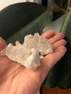 Quartz Cluster - Single Medium Pieces (40-50g)